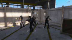SWAT & CQB Training